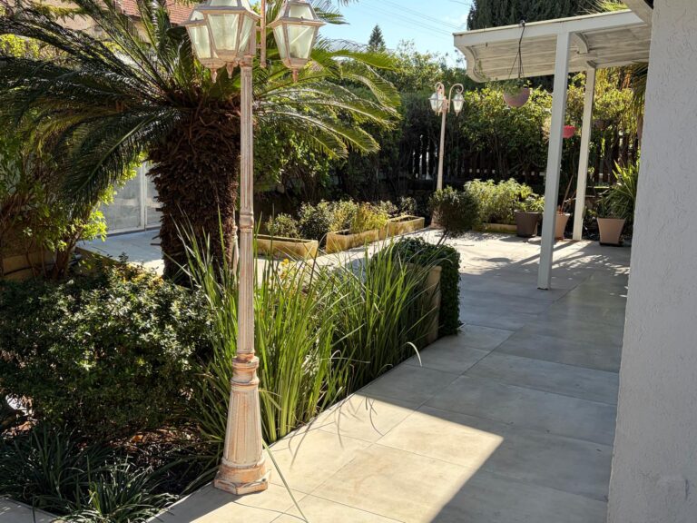 אלירז פיין (בנימין)